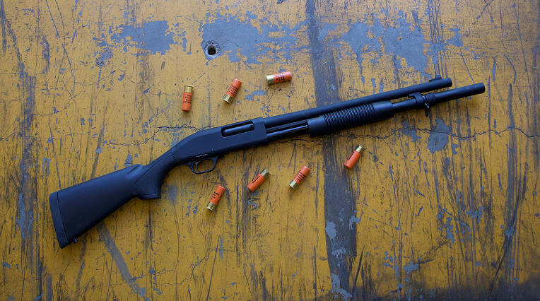 Pump-Action Shotguns Image